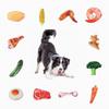 Juguete masticable duradero de lona para perros con diseño de verduras para horas de diversión
