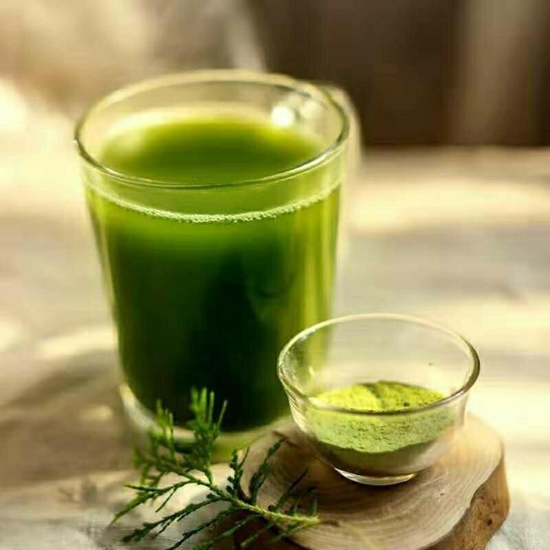 Bio A++ KVALITA Čerstvý prášek ze zeleného ječmene - Nejlepší ječmenná tráva