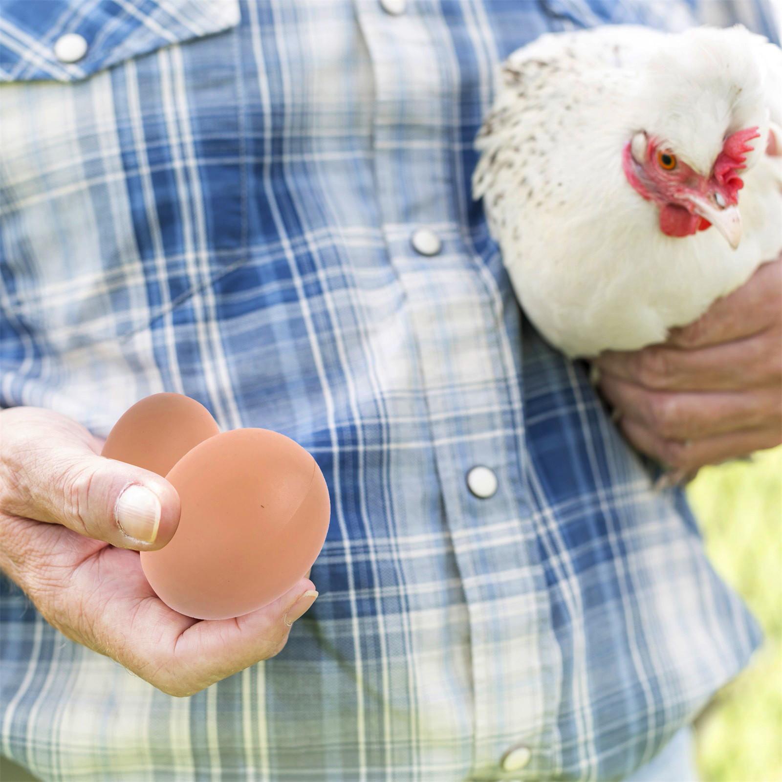 8 шт. манекен Oeufs Faux Oeufs Aide Pondre Poule One Size — фото 5