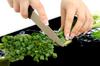 GLASS PROTECTIVE PLATE FOR STOVE 80x52 FRUIT