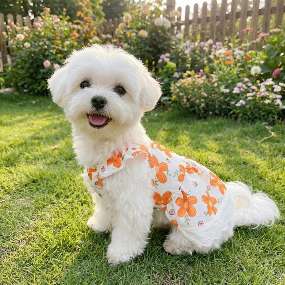 Breathable Floral Dog Skirt Lace-Trimmed Dog Princess Dress Floral Suspender Dress Pet Party
