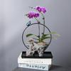 Wrought Iron Hanging Flower Pot Resin Creative Wenzhu Green Plant Home Living Room Decoration Retro Succulent Flower Pot Landscaping Pot