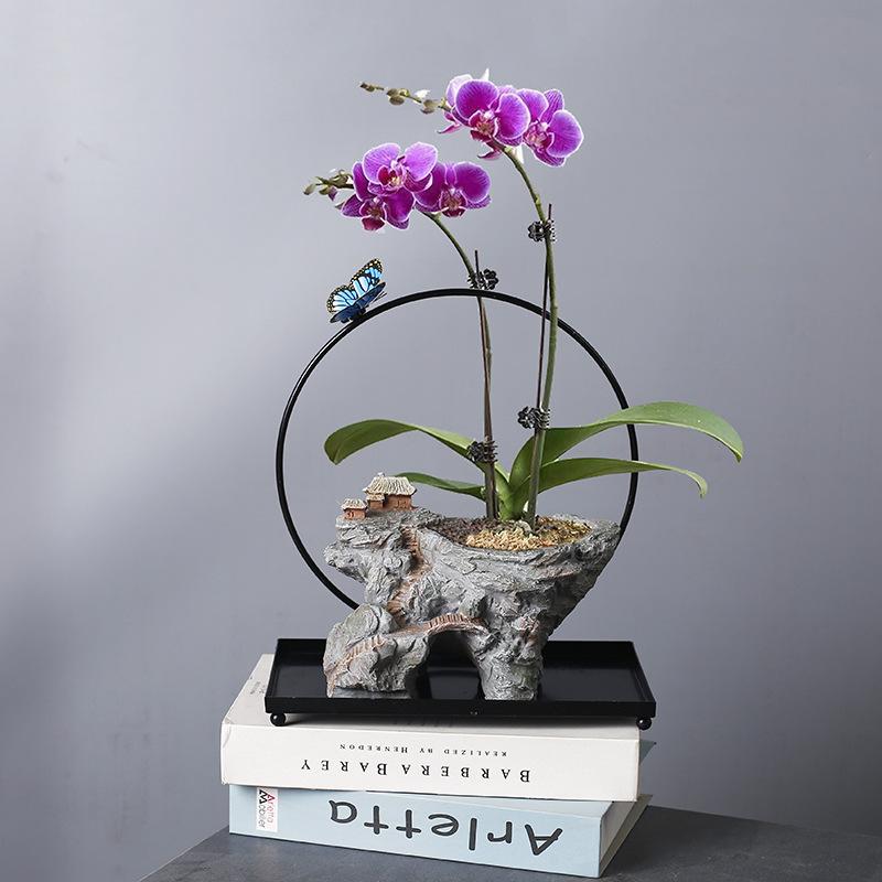 Wrought Iron Hanging Flower Pot Resin Creative Wenzhu Green Plant Home Living Room Decoration Retro Succulent Flower Pot Landscaping Pot