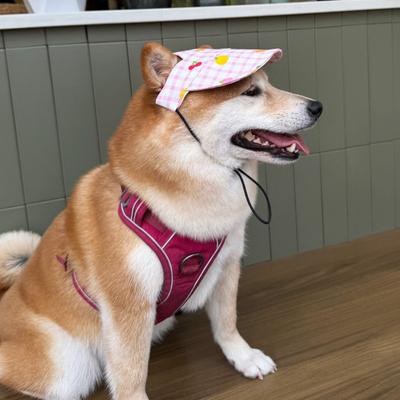 Pet Cartoon Baseball Cap with Ear Holes Dog Outdoor Sun Hat with Adjustable Straps UV Protection Visor Hat for Small Medium Dogs Cats