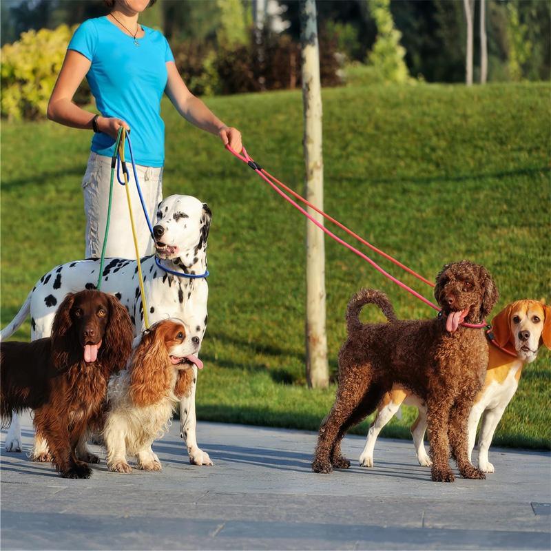 5Pcs Pet Dog Leash Dog Harness Collar Lead Rope Quality Nylon Adjustable Training Lead Pet Dog Leash Dog Strap Rope Traction