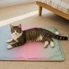 Waterproof Pet Electric Blanket Anti-scratch Thermostat Control Electric Heating Dog Bed Warm Cartoon Pattern Pet Heating Pad