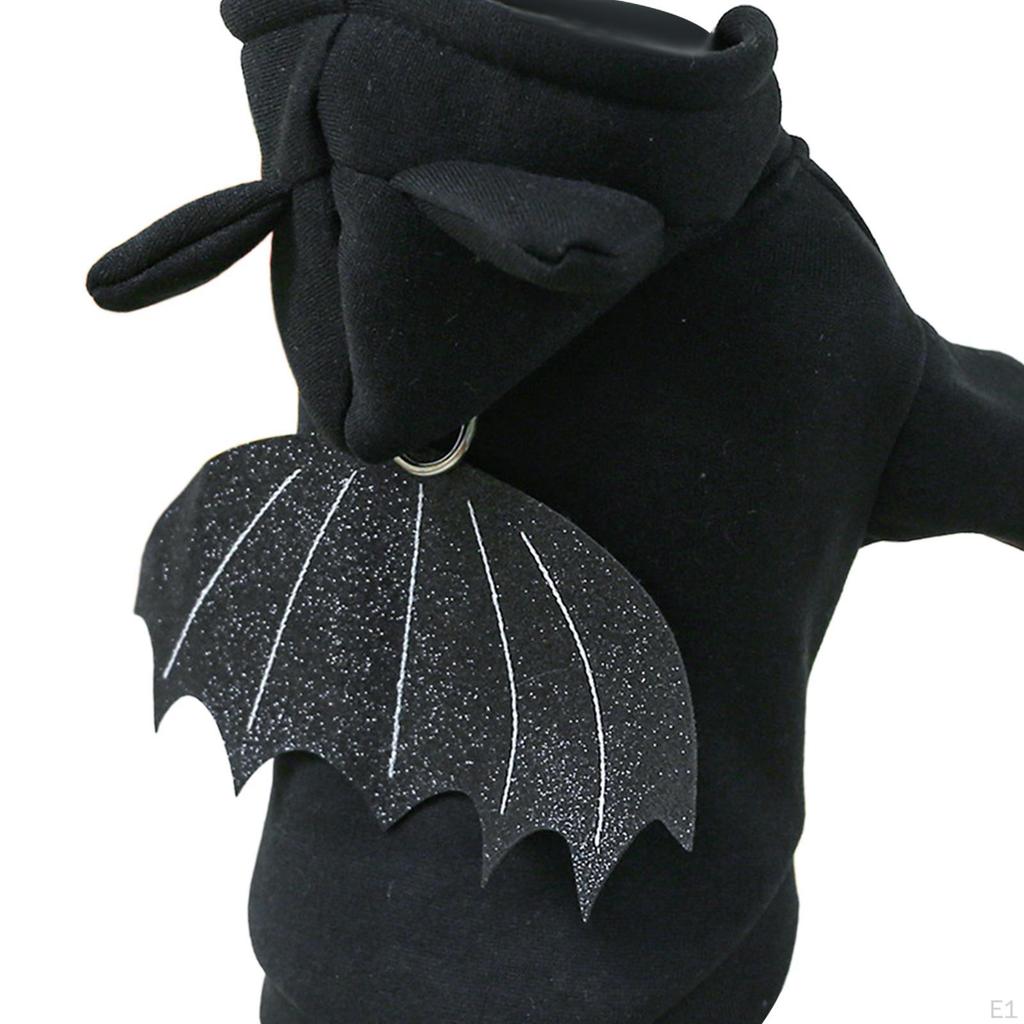 Festive Pet Attire for Halloween and Year Celebrations