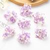 Simulation Hydrangea Shooting Prop Head DIY Handmade Hydrangea Wedding Lead Hydrangea Flower Wall Single Small Hydrangea Fake Flower Decoration