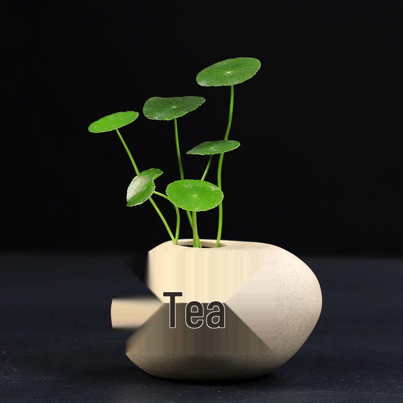 Mały ceramiczny wazon zen do hydroponiki i kompozycji ze świeżych kwiatów