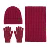 Warm Winter Knit Set Men Women Cable Beanie Scarf Gloves 3-Piece Thick Acrylic Outdoor Travel Accessory
