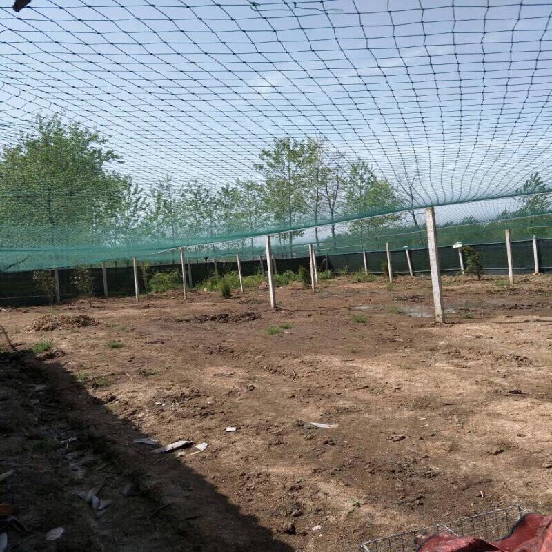 Qinpeng Outdoor Nylon Plastic Mesh Fence Net