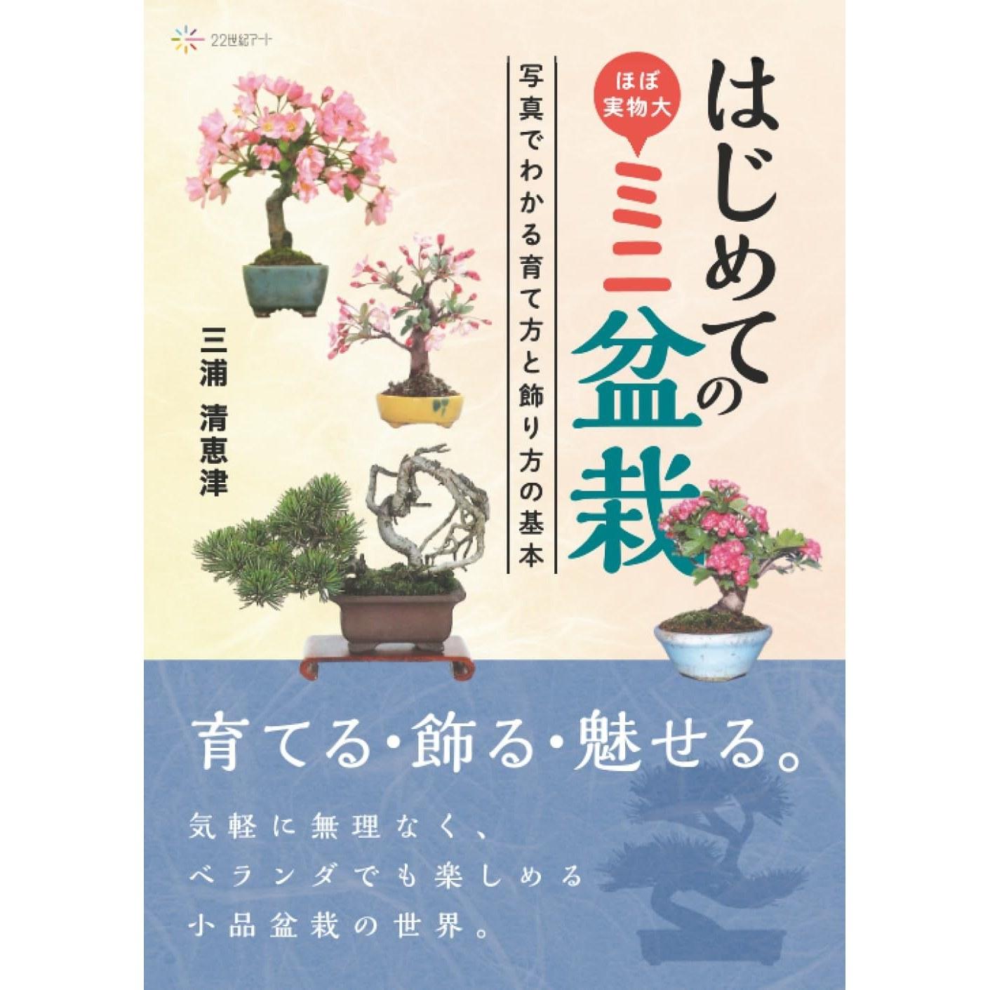 Beginners Mini Bonsai - Basic Care Display Techniques Explained Photos