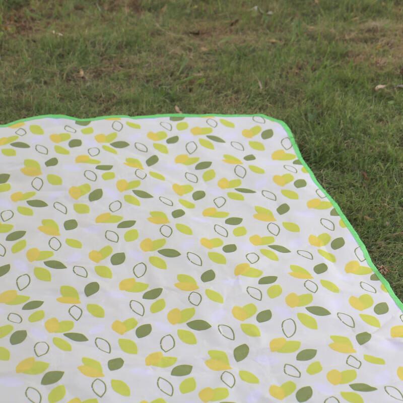 DASPAN Outdoor Waterproof Picnic Mat