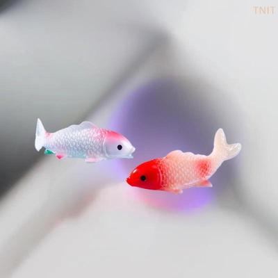 Decorazioni per la casa – Decorazioni per terrari