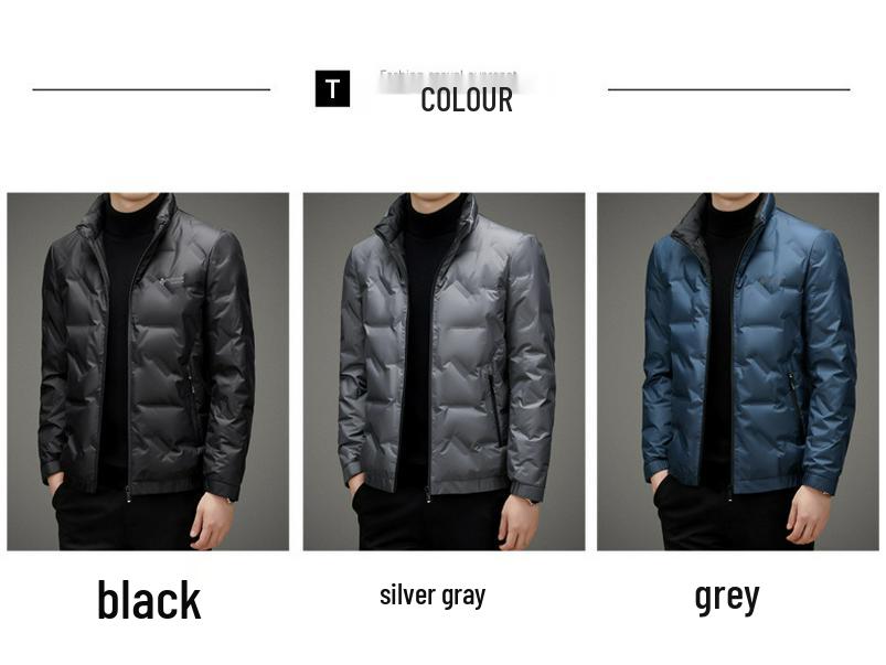 Herren Kurze Daunenjacke: Leichter, warmer, lässiger Wintermantel mit Stehkragen