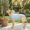 Soft Dog Sterilization Clothes Adjustable Pet Anti-Licking Suit Dog Recovery Suit  Daily Wear