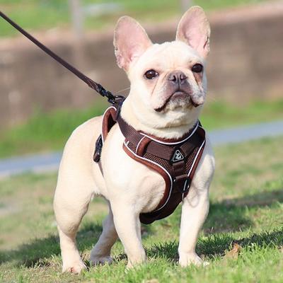 Dingdongpet Hundegeschirr aus Anti-Rutsch-Netzgewebe, H-Typ, braun