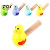 Mini Colorful Drawing Bird Model Whistle Musical Instrument Education Kids Toy