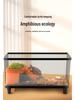 Small Acrylic Transparent Fish Tank with Bottom Drainage for Desktop or Living Room