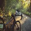 Handyhalter für Fahrrad 360 Grad drehbar Handy-Ständer Anti-Vibrations Wasserdicht Lenker-Handyhalter für Mountainbiking