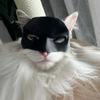 Black Catwoman Cat Mask Halloween Pet Headdress Decoration Plastic Material