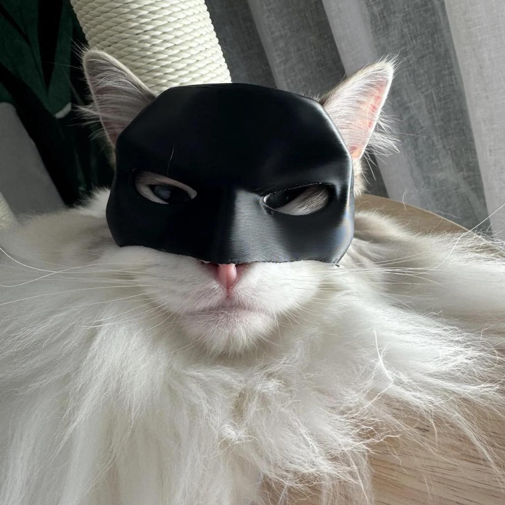 Black Catwoman Cat Mask Halloween Pet Headdress Decoration Plastic Material