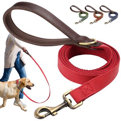 Chiens – Colliers et laisses pour chiens