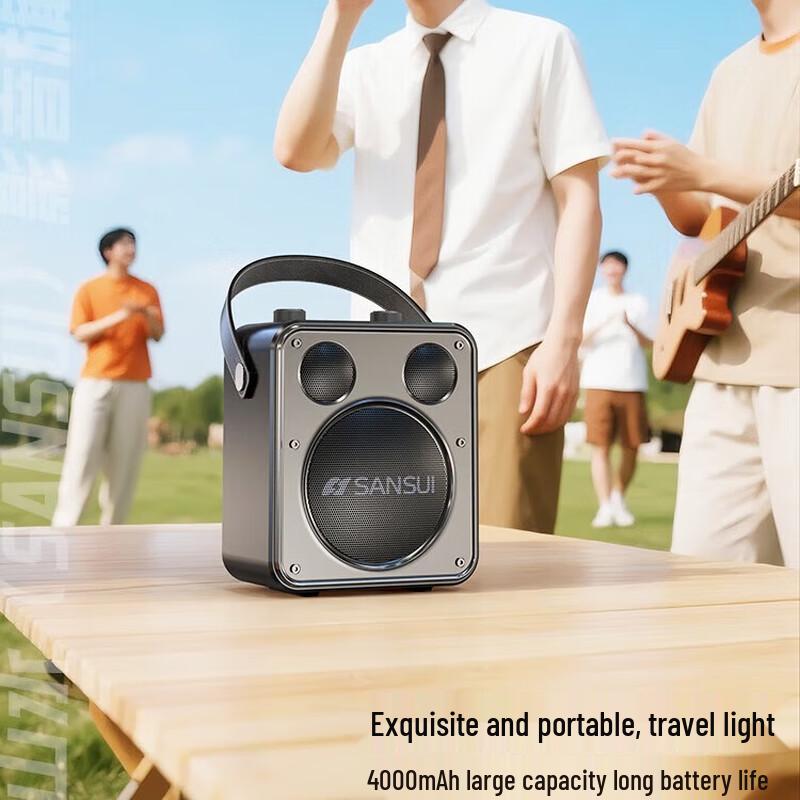 SANSUI D71 Portable Karaoke Bluetooth Speaker