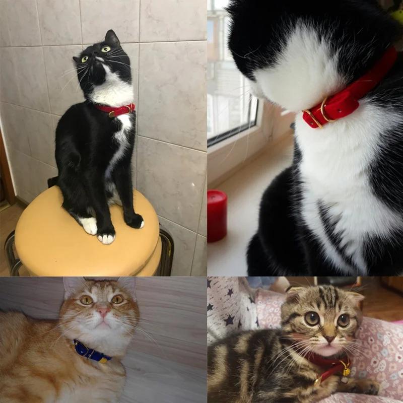 Cat Collar With Bell Safety Cat Collars Puppy Dog Collar For Cats Small Dogs Kittens Solid Pet Collar Chihuahua Products Decor