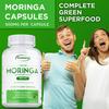 Moringa Leaf Powder Capsules Provide Antioxidant Support and Boost the Immune System. 120 Capsules Per Pack, Each Containing 500mg of Moringa.