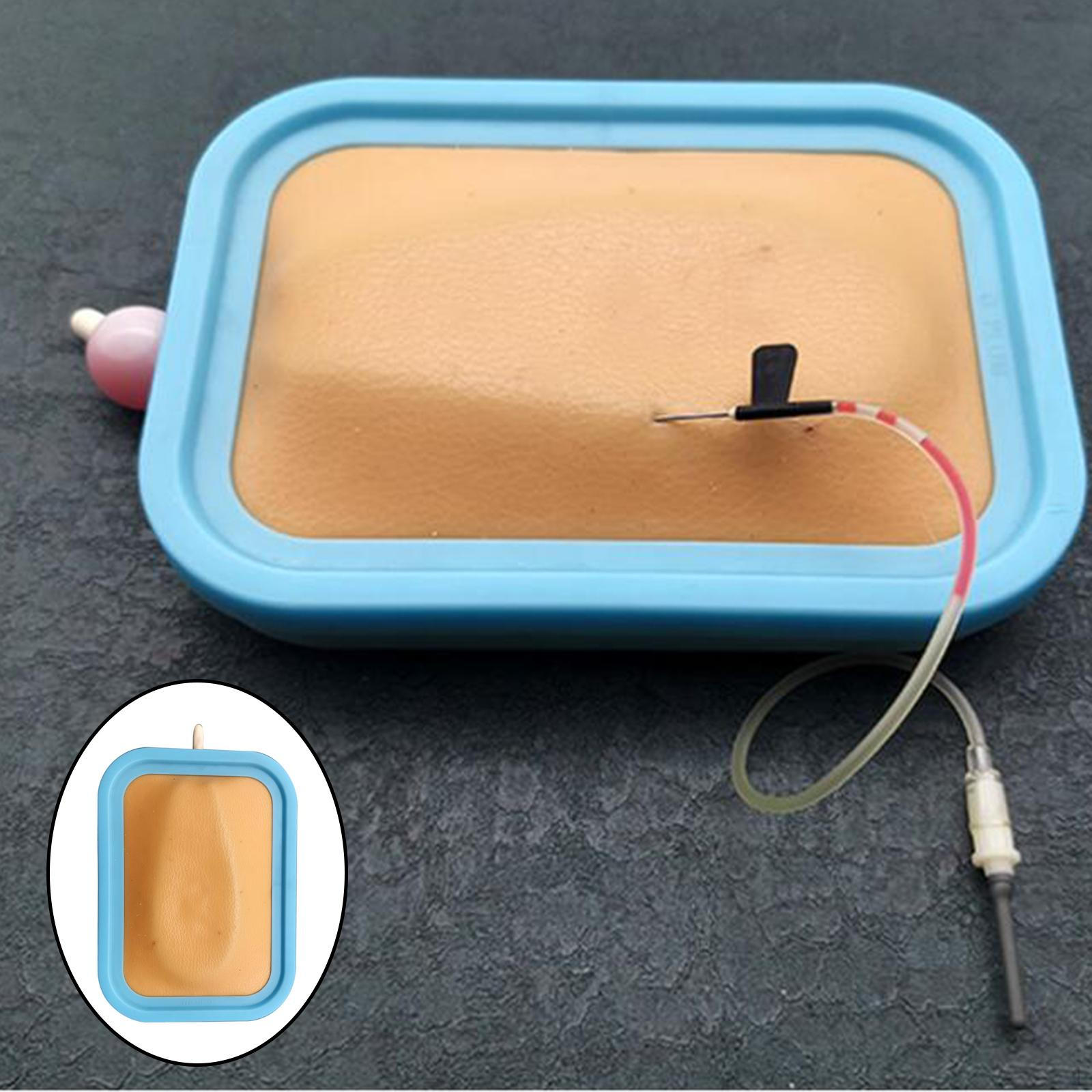 Training Model,Silicone Model for Student Practice B