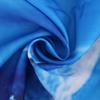 Underwater Dolphin Shower Curtain Marine Life World Travel Sea Diving Ocean Print Bathroom Decor Set with 12 Hooks Waterproof