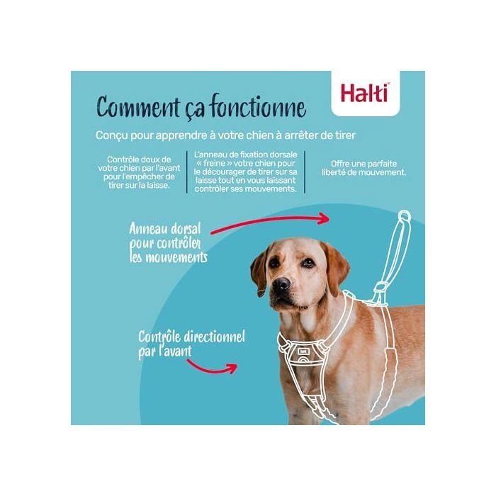 Harnais anti-traction pour chien - Halti - Réfléchissant - Sangle rembourrée - Taille S - Bleu Cobalt - Polyester