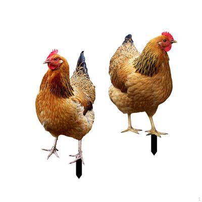 2 kusy Socha slepice Zahradní kůly Sochy zvířat Realistické umění ze dvora Kuřecí figurky mleté