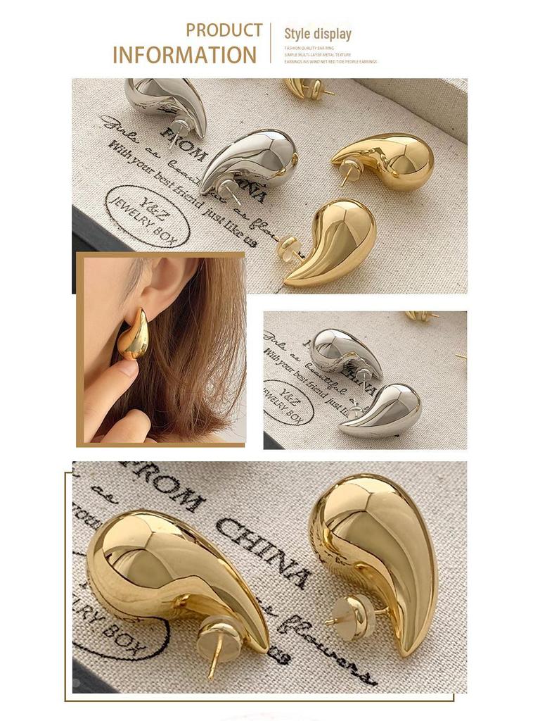 Elegant Metal Water Drop Earrings: Cold Style, Luxurious Gloss, High-End Niche Design
