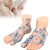 1 Paar 15 cm Fußreflexzonen-Massage-Modell kein Akupunktur-Modell Chinesischer und Englischer Code TCM Fußreflexzonenmassage