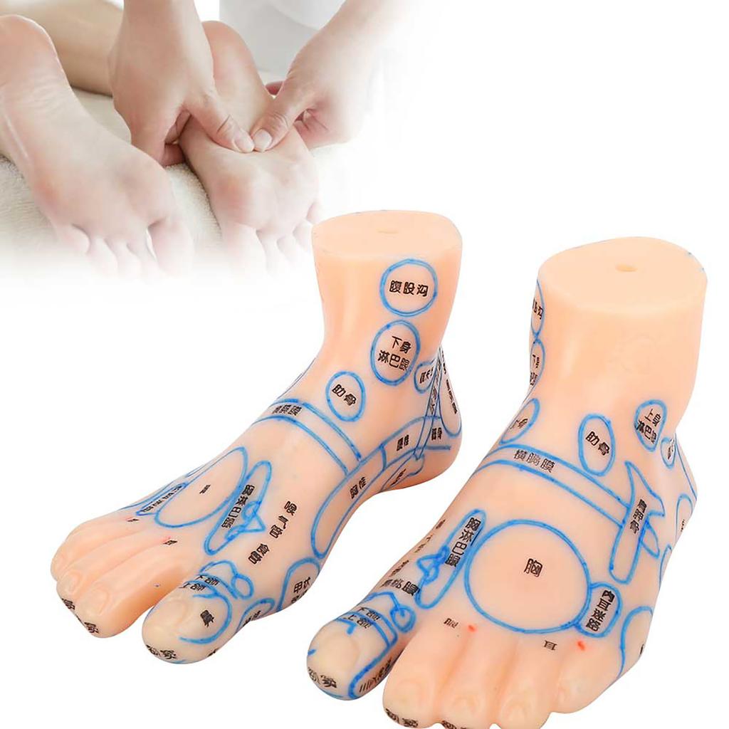 1 Paar 15 cm Fußreflexzonen-Massage-Modell kein Akupunktur-Modell Chinesischer und Englischer Code TCM Fußreflexzonenmassage