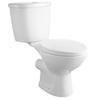 VEVOR Macerating Toilet System with Powerful 800W Macerator Pump, Rear Discharge and Upflush Toilet For Basement, Dual Flush Water Disposal