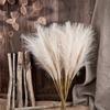 GeeParty 10Pcs Fluffy Pampas Grass Fake Reed Simulated Artificial Flower Boquet for Birthday Party Decoration