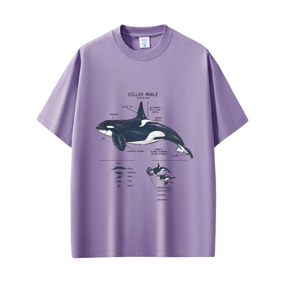 Marine Animals Killer Whale Anatomy Graphic Tshirt Mens Womens Casual Funny T Shirts Tops Unisex Fashion Oversized Streetwear