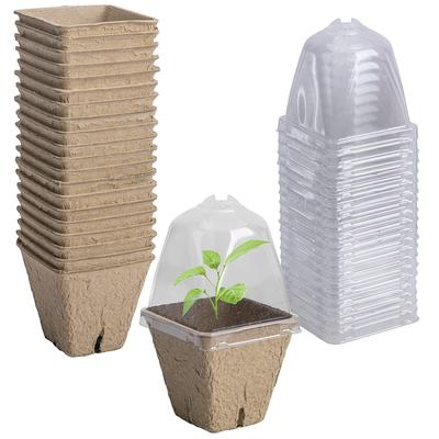 Biodegradable Nursery Home Seedling Pot With Aerated Lid