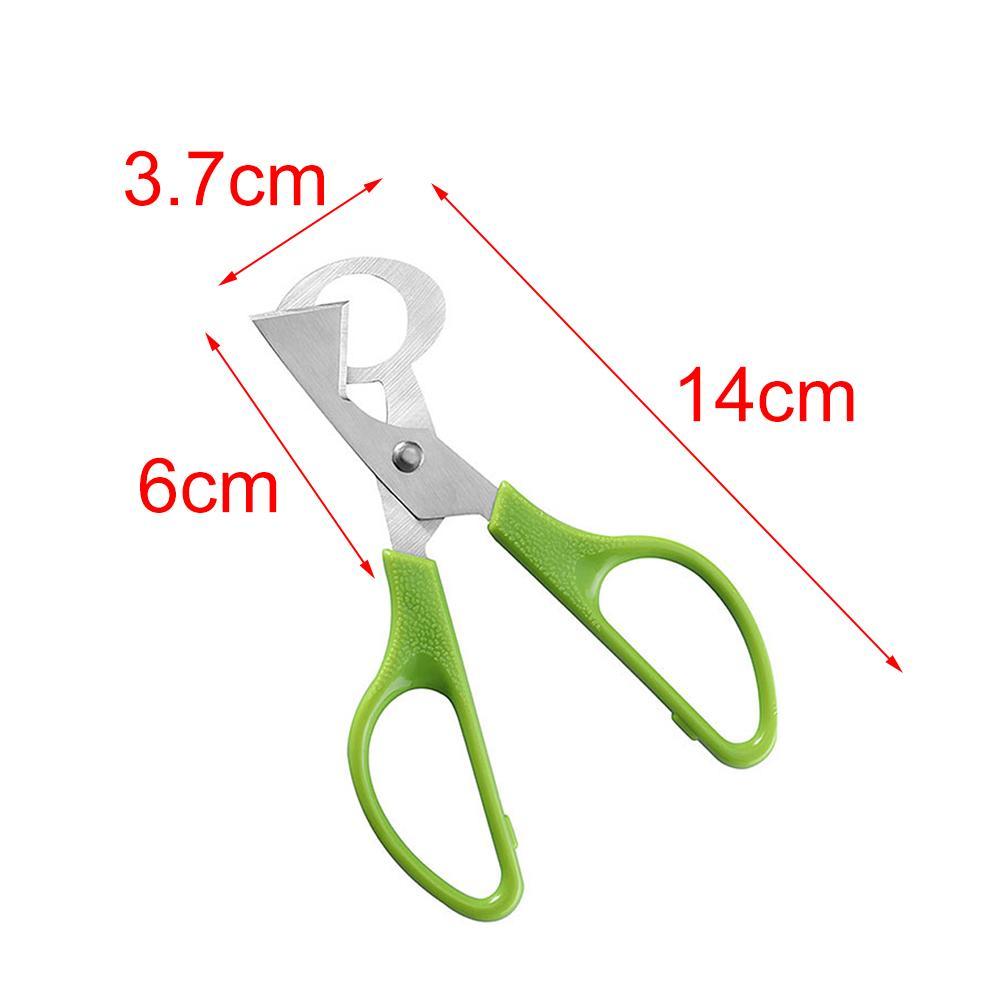 Pigeon Quail Open Crack Small Egg Shell Scissor Cut Bird Eggshell Separator Cigar Cutter Opener Tool Pigeon Quail Egg Scissor