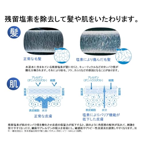 [Genuine Product] Toray Trevino Water Purification Shower Toray Shower RS51/RS52/RS53/RS54-AZ Replacement Cartridge 1 Piece RSC51