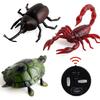 Electric Infrared Remote Control Toys New And Strange Insects Simulation Tricky People Reptiles A Variety Of Optional