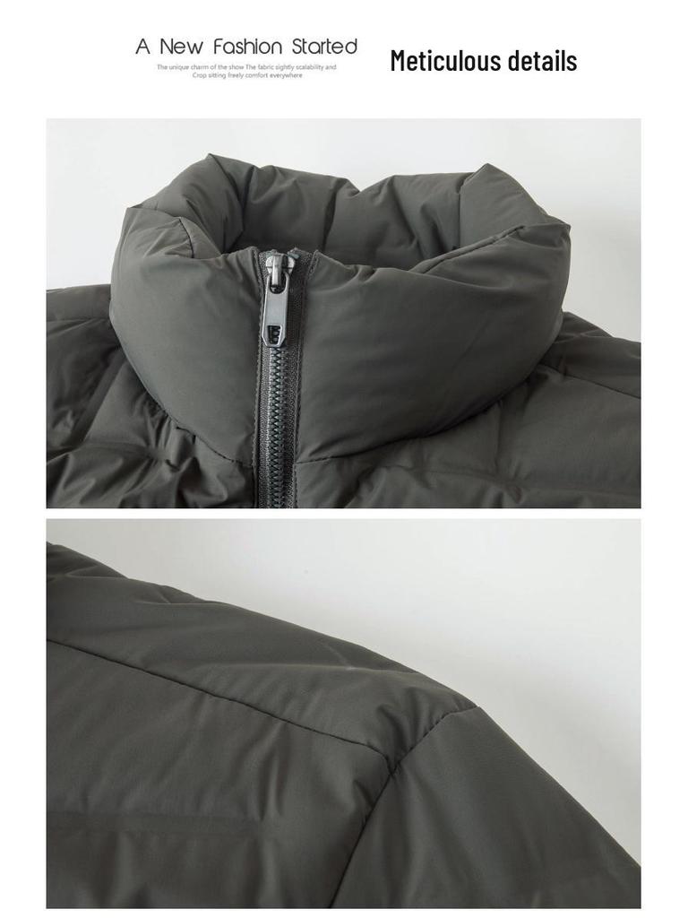Men's Fashionable Stand-up Collar Down Jacket - 2025 Autumn/Winter Collection, Warm & Casual for Middle-aged & Young Adults.