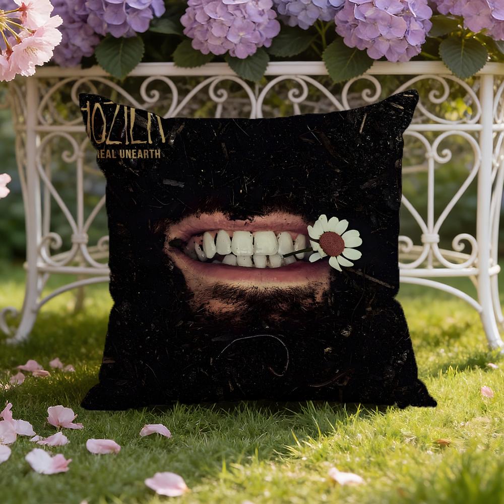 Hozier singer Cushion Cover Home & Car Dual-Scene Pillow Cover: Reversible for Premium Comfort