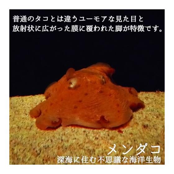 Stuffed octopus with ball chain, 1 piece each, total set of 4 (small capacity, suitable for home sales promotions) Made of polyester, palm size, 6cm