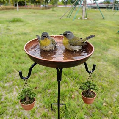 Pássaros – Louça para aves