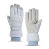 Winter Ski Gloves Men Women Thick Warm Windproof Waterproof Touchscreen Outdoor Snowboarding Cycling