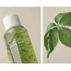 PlentyPlant Melting Leaf Sprout Ginseng Toner 150ml